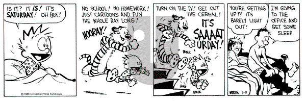 Calvin and Hobbes on Saturday September 9, 1989 Comic Strip