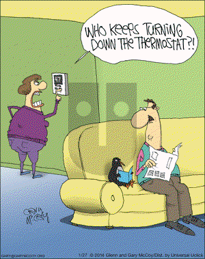 The Flying McCoys on Monday January 27, 2014 Comic Strip