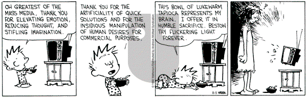Calvin and Hobbes - Friday August 5, 2022 Comic Strip