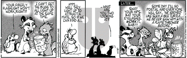 Over the Hedge on Wednesday June 2, 2004 Comic Strip