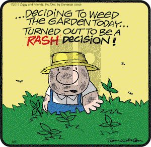 Ziggy on Saturday August 8, 2015 Comic Strip