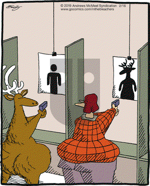 In the Bleachers on Saturday February 16, 2019 Comic Strip
