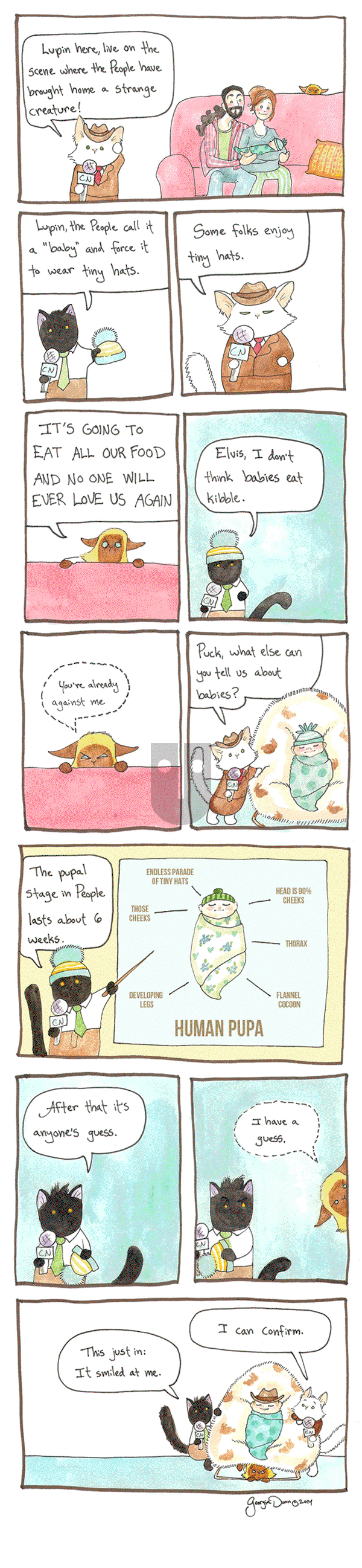 Breaking Cat News on Thursday April 9, 2015 Comic Strip