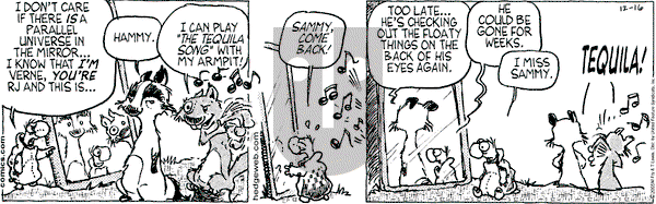Over the Hedge on Friday December 16, 2005 Comic Strip