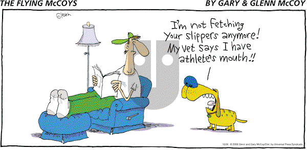 The Flying McCoys on Sunday October 26, 2008 Comic Strip
