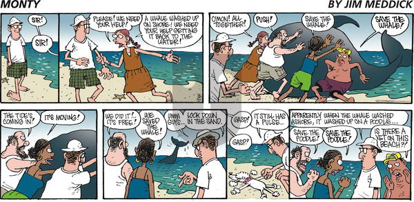 Monty on Sunday August 20, 2017 Comic Strip