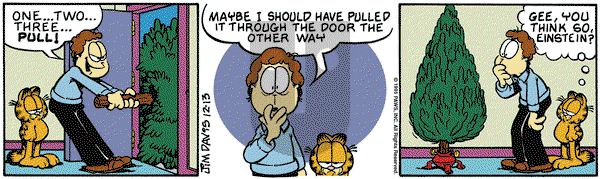 Garfield on Wednesday December 13, 1995 Comic Strip