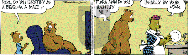 The Grizzwells on Tuesday June 27, 2017 Comic Strip