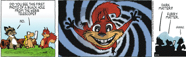 Over the Hedge on Saturday June 14, 2025 Comic Strip