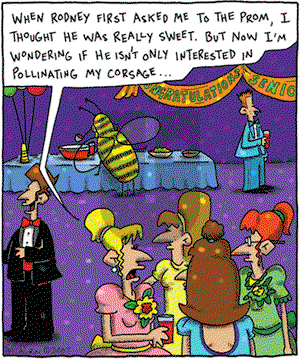 The Argyle Sweater on Monday February 25, 2008 Comic Strip