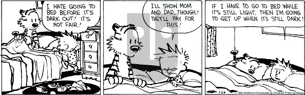 Calvin and Hobbes - Saturday July 24, 1993 Comic Strip