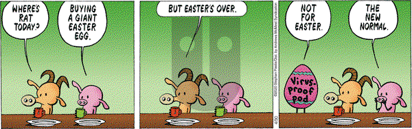 Pearls Before Swine on Thursday April 30, 2020 Comic Strip