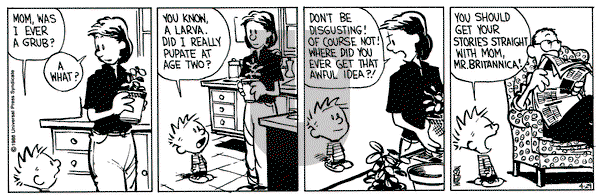 Calvin and Hobbes on Friday April 29, 1988 Comic Strip