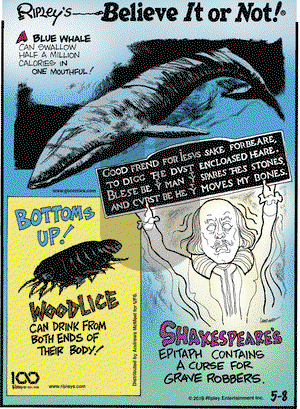 Ripley's Believe It or Not on Wednesday May 8, 2019 Comic Strip