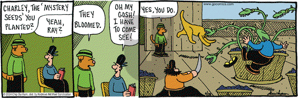 Overboard - Wednesday September 18, 2024 Comic Strip