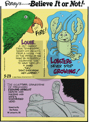 Ripley's Believe It or Not on Friday May 29, 2020 Comic Strip