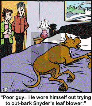 Marmaduke on Wednesday December 7, 2016 Comic Strip