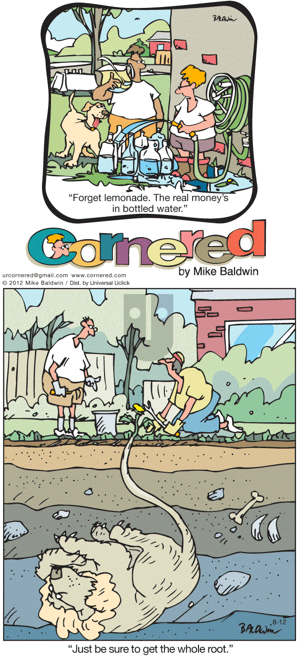 Cornered - Sunday August 12, 2012 Comic Strip
