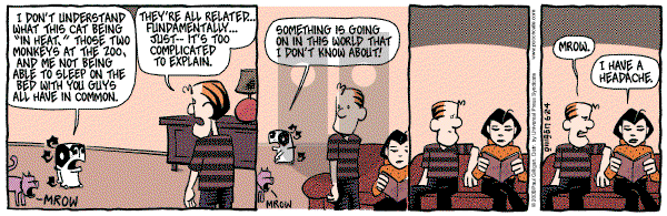 Pooch Cafe on Tuesday June 24, 2008 Comic Strip