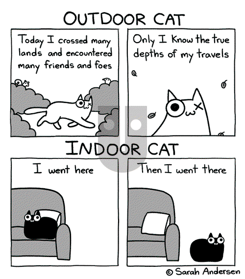 Sarah's Scribbles on Saturday January 27, 2024 Comic Strip