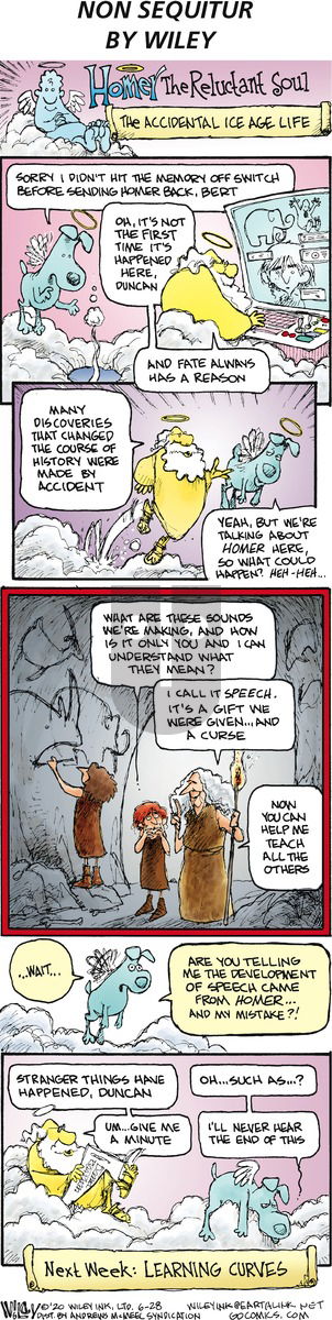 Non Sequitur on Sunday June 28, 2020 Comic Strip