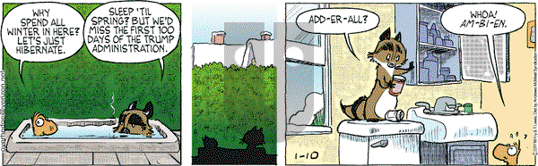 Over the Hedge on Tuesday January 10, 2017 Comic Strip