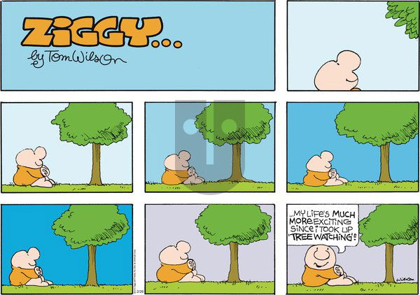 Ziggy on Sunday February 26, 2012 Comic Strip