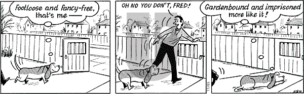 Fred Basset on Wednesday November 5, 2003 Comic Strip