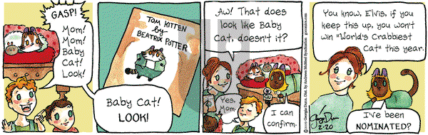 Breaking Cat News on Wednesday February 20, 2019 Comic Strip