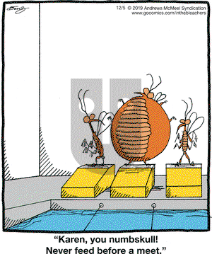 In the Bleachers on Thursday December 5, 2019 Comic Strip