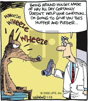 Reality Check on Friday January 23, 2009 Comic Strip