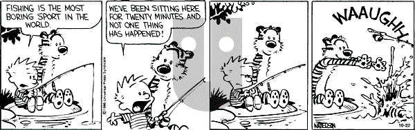 Calvin and Hobbes - Tuesday October 22, 1991 Comic Strip