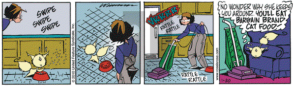 Rose is Rose on Saturday January 30, 2010 Comic Strip