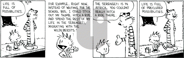 Calvin and Hobbes - Thursday June 1, 1995 Comic Strip