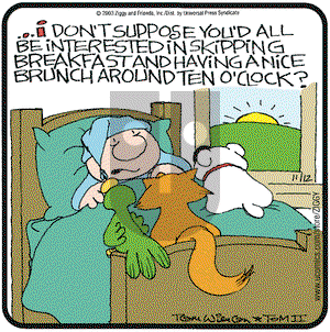 Ziggy on Wednesday November 12, 2003 Comic Strip