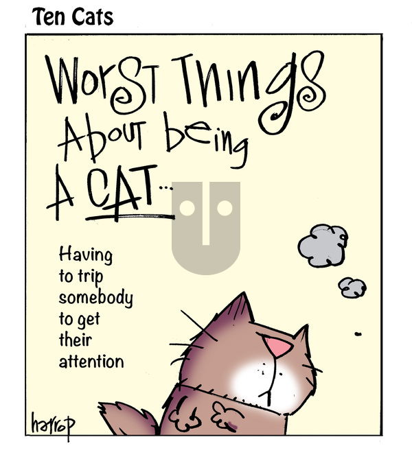 Ten Cats on Saturday February 22, 2025 Comic Strip