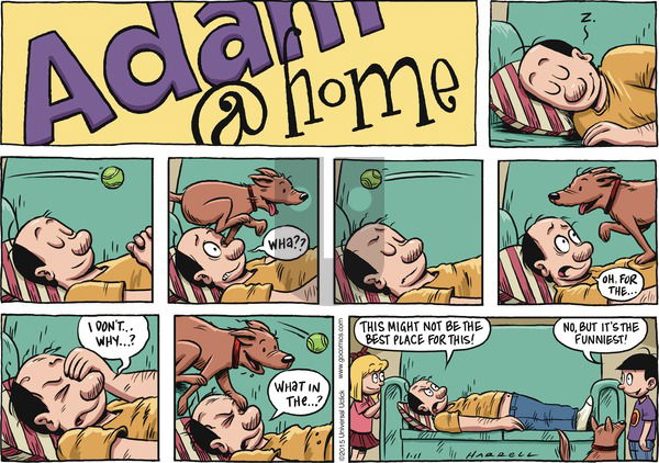 Adam@Home on Sunday January 11, 2015 Comic Strip