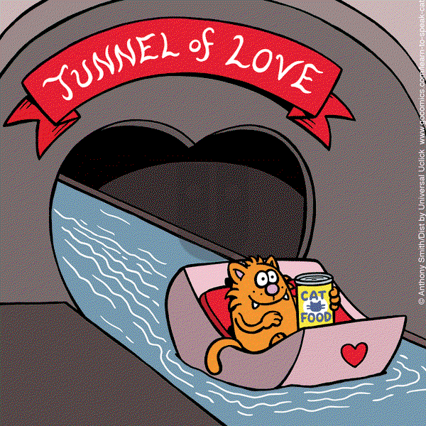Learn to Speak Cat on Friday February 14, 2025 Comic Strip