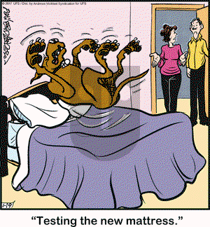 Marmaduke on Thursday January 19, 2017 Comic Strip