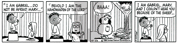 Peanuts on Saturday December 22, 1984 Comic Strip