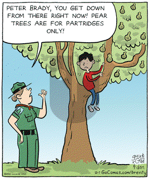 Brevity on Friday December 7, 2012 Comic Strip