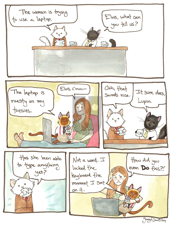 Breaking Cat News on Thursday November 27, 2014 Comic Strip