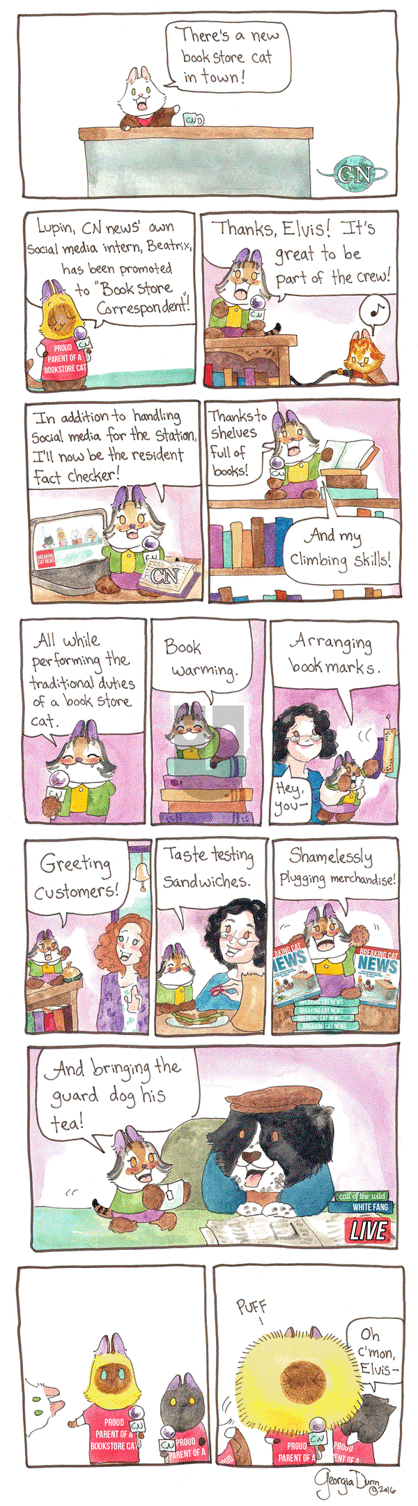 Breaking Cat News on Wednesday May 25, 2016 Comic Strip