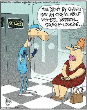 The Flying McCoys on Saturday March 14, 2020 Comic Strip