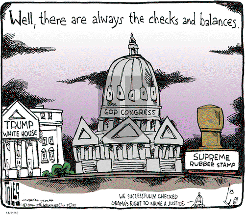 Tom Toles on Friday November 11, 2016 Comic Strip
