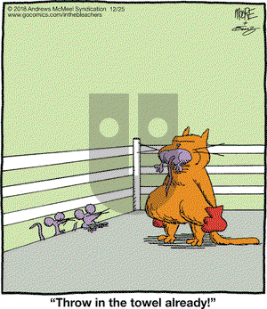 In the Bleachers on Tuesday December 25, 2018 Comic Strip