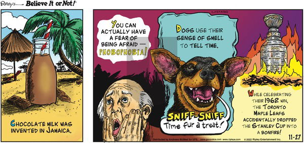 Ripley's Believe It or Not - Sunday November 27, 2022 Comic Strip