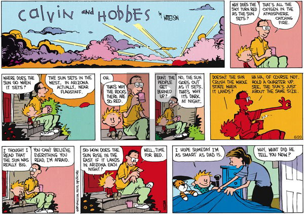 Calvin and Hobbes on Sunday July 30, 1989 Comic Strip