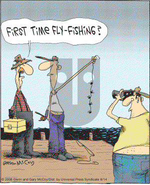 The Flying McCoys on Saturday June 14, 2008 Comic Strip