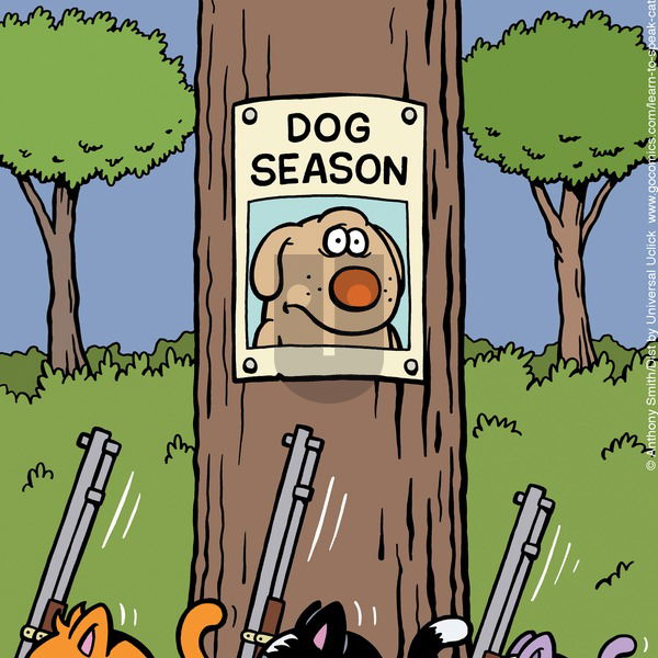 Learn to Speak Cat on Sunday July 13, 2025 Comic Strip